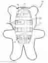 Fig. 01 - Endoskeletal pet toy