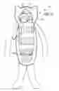 Fig. 10 - Endoskeletal pet toy