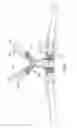 Fig. 08 - Immobilization device