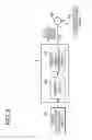 Fig. 04 - Electron beam apparatus