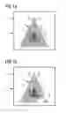Fig. 02 - Method for the production of security elements having registered layers of designs
