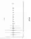Fig. 27 - Methods and compositions for the recombinant biosynthesis of n-alkanes