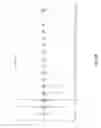 Fig. 33 - Methods and compositions for the recombinant biosynthesis of n-alkanes