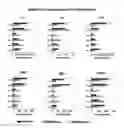 Fig. 01 - Long term disease modification using immunostimulatory oligonucleotides