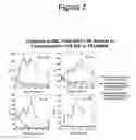 Fig. 08 - Long term disease modification using immunostimulatory oligonucleotides
