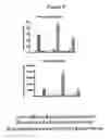 Fig. 09 - Long term disease modification using immunostimulatory oligonucleotides