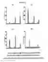 Fig. 10 - Long term disease modification using immunostimulatory oligonucleotides