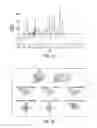 Fig. 17 - System for managing treatment of a particular health condition that includes graphing accumulated data