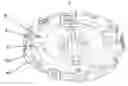 Fig. 01 - Control element for a motor vehicle