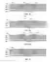 Fig. 06 - Optoelectronic architecture having compound conducting substrate