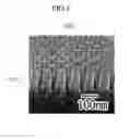 Fig. 05 - Organic light emitting diode display