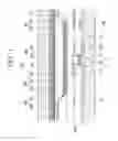 Fig. 14 - Organic light emitting diode display