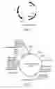 Fig. 02 - Expression vector for expressing recombinant protein in Cyanobacterium