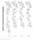 Fig. 07 - Conjugates and Compositions for Cellular Delivery