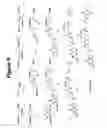 Fig. 10 - Conjugates and Compositions for Cellular Delivery
