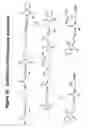 Fig. 17 - Conjugates and Compositions for Cellular Delivery