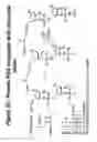 Fig. 27 - Conjugates and Compositions for Cellular Delivery