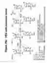 Fig. 28 - Conjugates and Compositions for Cellular Delivery