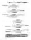 Fig. 40 - Conjugates and Compositions for Cellular Delivery