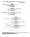 Fig. 42 - Conjugates and Compositions for Cellular Delivery