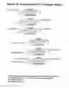 Fig. 44 - Conjugates and Compositions for Cellular Delivery