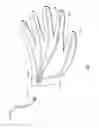 Fig. 07 - Methods, systems and devices for performing electrosurgical procedures