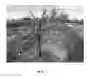 Fig. 03 - Apple tree named 'Gradirose'