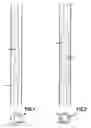 Fig. 02 - WORK EXTRACTION FROM DOWNHOLE PROGRESSIVE CAVITY DEVICES