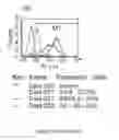 Fig. 167 - Microcarriers for stem cell culture