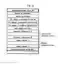 Fig. 13 - Tracing apparatus and tracing system