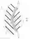 Fig. 08 - COAXIAL CABLE SHIELDING