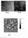 Fig. 02 - High temperature superconductors