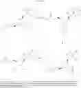 Fig. 167 - INHIBITORS OF E1 ACTIVATING ENZYMES