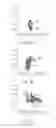 Fig. 04 - Method of realism assessment of an image composite