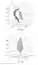 Fig. 05 - Method of realism assessment of an image composite