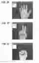 Fig. 08 - Device method and program for human hand posture estimation