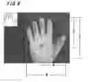 Fig. 10 - Device method and program for human hand posture estimation