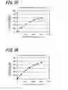 Fig. 20 - Device method and program for human hand posture estimation