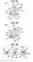 Fig. 09 - Methods and devices for providing access into a body cavity