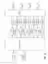 Fig. 05 - Method and apparatus for minimizing post-infarct ventricular remodeling