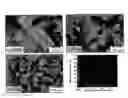 Fig. 09 - Titanium alloy microstructural refinement method and high temperature, high strain rate superplastic forming of titanium alloys
