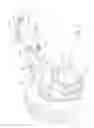 Fig. 09 - Adjustable height device for high clearance vehicle