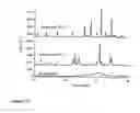 Fig. 13 - Flame synthesis of metal salt nanoparticles, in particular calcium and phosphate comprising nanoparticles