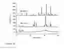 Fig. 15 - Flame synthesis of metal salt nanoparticles, in particular calcium and phosphate comprising nanoparticles