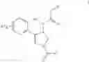 Fig. 197 - PYRROLIDINE COMPOUNDS