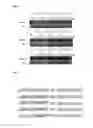 Fig. 03 - Double-stranded polynucleotide