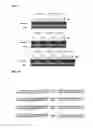 Fig. 09 - Double-stranded polynucleotide