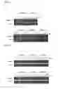 Fig. 14 - Double-stranded polynucleotide