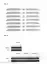 Fig. 17 - Double-stranded polynucleotide