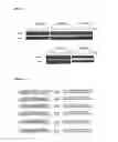 Fig. 21 - Double-stranded polynucleotide